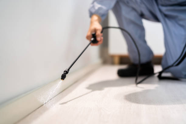 Licensed Cockroach Control service in Manchester, TN - Nex Pest Control