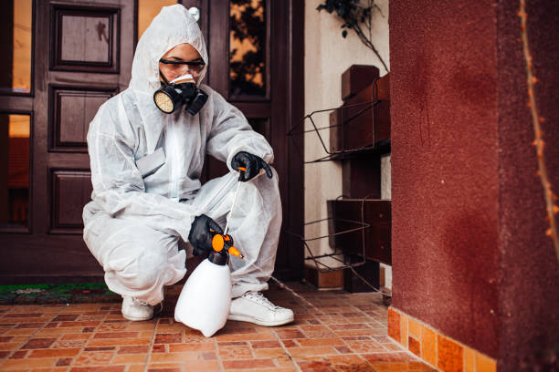 Reliable Cockroach Control contractor in Manchester, TN by Nex Pest Control